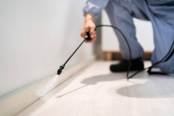 Professional exterminator conducting IPM assessment in Muldrow